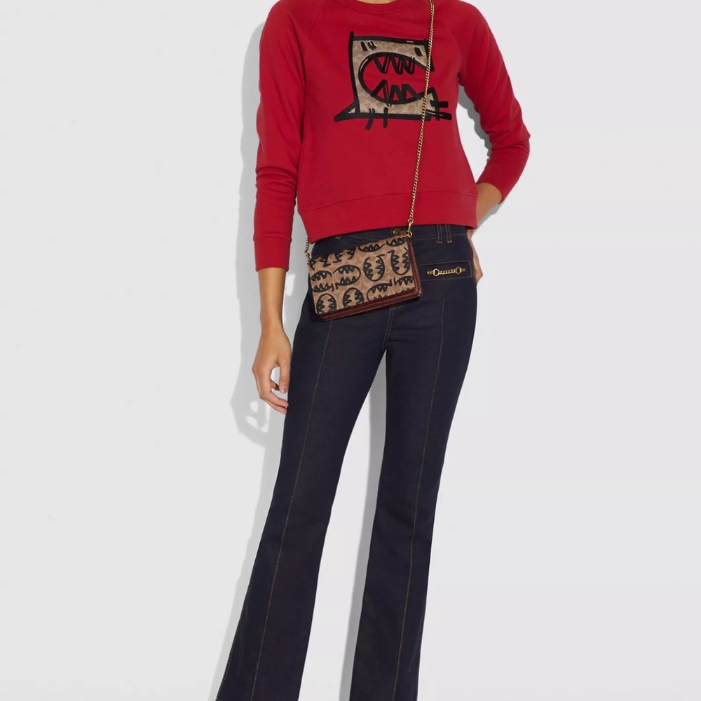 Coach Callie Foldover Chain Clutch In Signature Canvas With Rexy By Guang Yu
